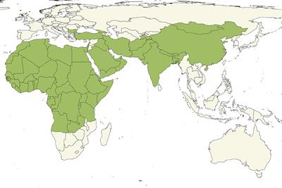 Strategies for the Global Eradication of Peste des Petits Ruminants: An Argument for the Use of Guerrilla Rather Than Trench Warfare